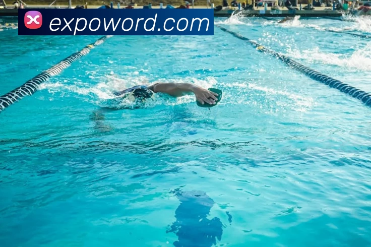 九州体育平台生态图